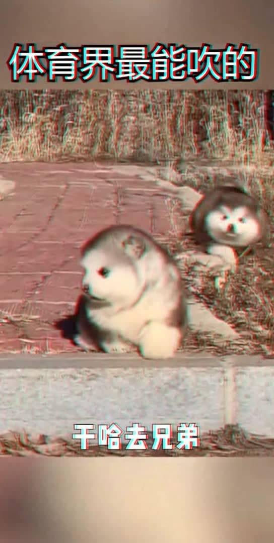 搞笑配音做动作,搞笑配音大作战