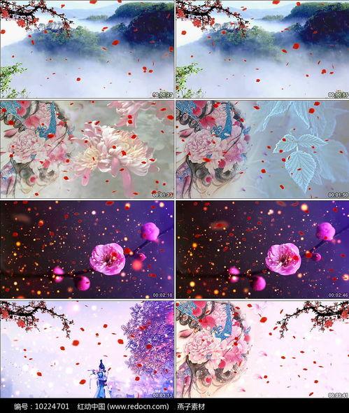 离人愁舞蹈背景视屏,穿越时空的浪漫演绎