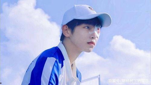 彭昱畅图片,光影交织下的青春追梦者