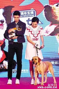 马可王洋花絮,幕后趣事大揭秘