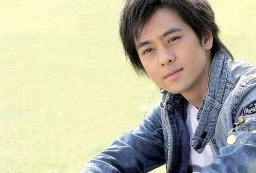 林志颖老照片,林志颖旧照中的青春印记